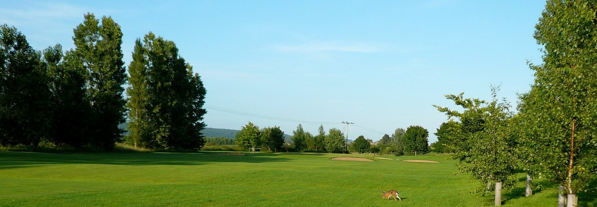 Mendip Spring Golf And Country Club Pensionat Churchill  Exteriör bild